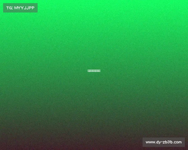 数字中国概念股票